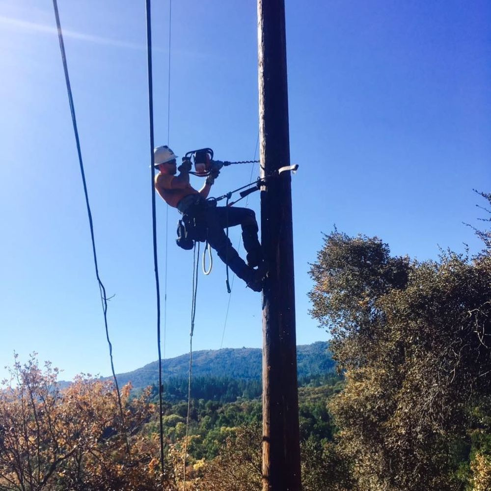 Meet your Posher, Frankie